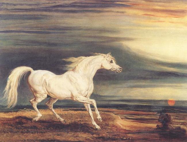 James Ward Napoleon's Horse,Marengo at Waterloo Norge oil painting art
